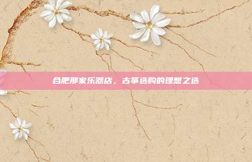 合肥那家乐器店，古筝选购的理想之选