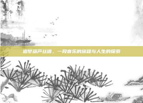 追梦葫芦丝谱,一段音乐的旅程与人生的探索