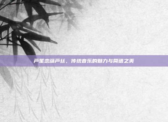 芦笙恋葫芦丝，传统音乐的魅力与简谱之美