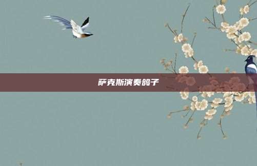 萨克斯演奏鸽子