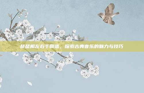 琵琶相左右手简谱,探索古典音乐的魅力与技巧
