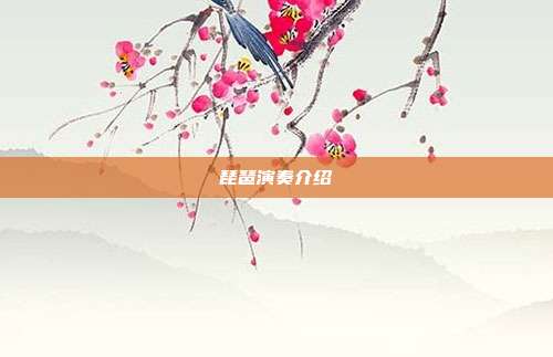 琵琶演奏介绍