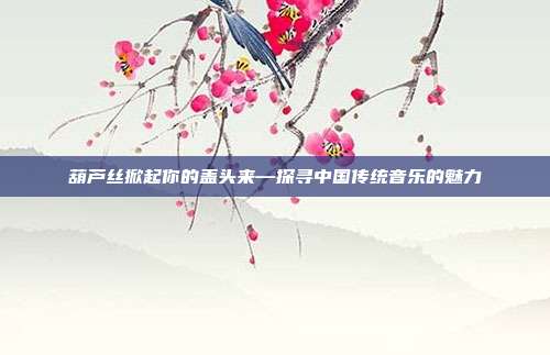 葫芦丝掀起你的盖头来—探寻中国传统音乐的魅力
