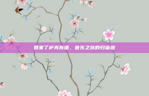 回家了萨克斯谱,音乐之旅的归宿感