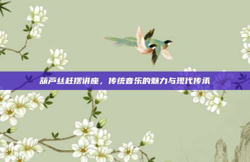 葫芦丝赶摆讲座，传统音乐的魅力与现代传承