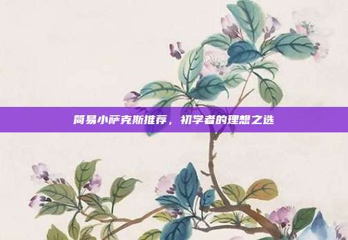 简易小萨克斯推荐，初学者的理想之选