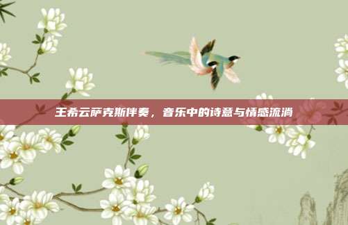 王希云萨克斯伴奏，音乐中的诗意与情感流淌