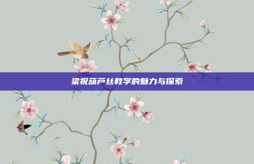 梁祝葫芦丝教学的魅力与探索