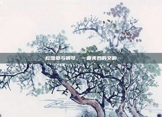 松雪草与钢琴，一曲美妙的交响