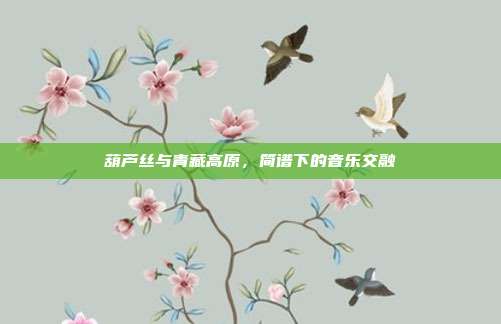 葫芦丝与青藏高原，简谱下的音乐交融