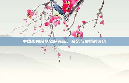 中国少先队队歌萨克斯，音乐与荣耀的交织