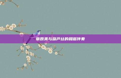 草原美与葫芦丝的和谐伴奏