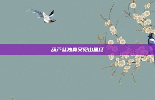 葫芦丝独奏又见山里红