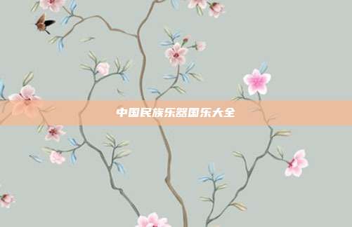 中国民族乐器国乐大全