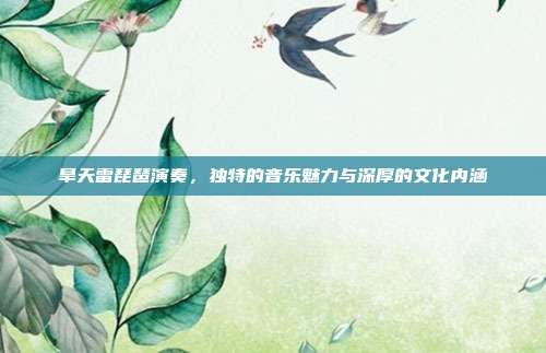旱天雷琵琶演奏，独特的音乐魅力与深厚的文化内涵
