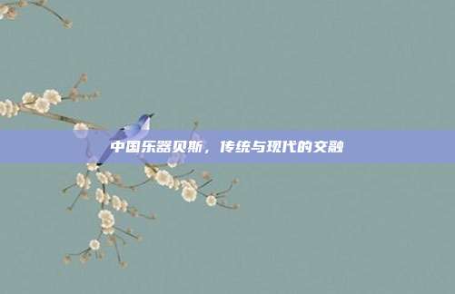 中国乐器贝斯，传统与现代的交融