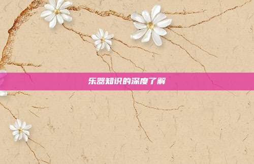 乐器知识的深度了解
