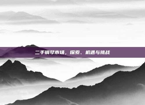 二手钢琴市场，探索、机遇与挑战