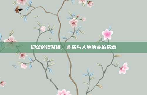 仰望的钢琴谱,音乐与人生的交响乐章