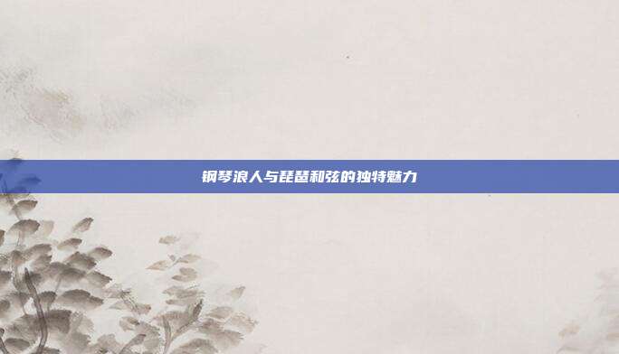 钢琴浪人与琵琶和弦的独特魅力