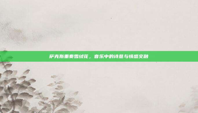萨克斯重奏雪绒花，音乐中的诗意与情感交融