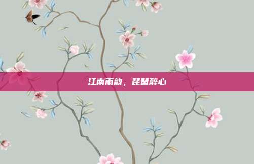 江南雨韵,琵琶醉心