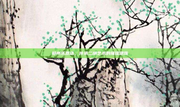 郑州乐器店,传承二胡艺术的璀璨明珠