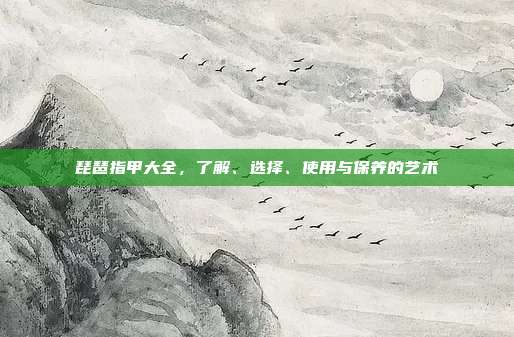 琵琶指甲大全，了解、选择、使用与保养的艺术