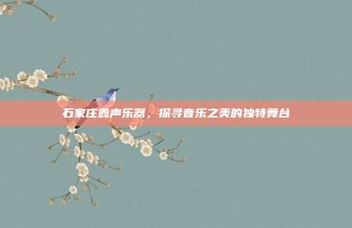 石家庄鑫声乐器，探寻音乐之美的独特舞台