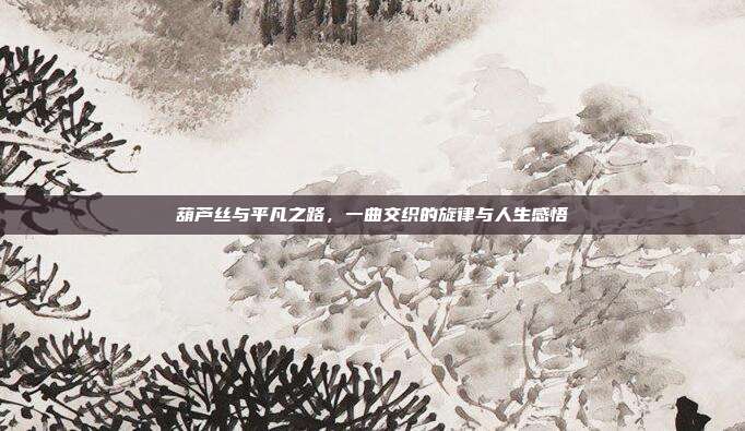 葫芦丝与平凡之路，一曲交织的旋律与人生感悟
