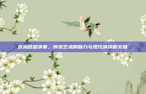 欢沁琵琶演奏，传统艺术的魅力与现代演绎的交融