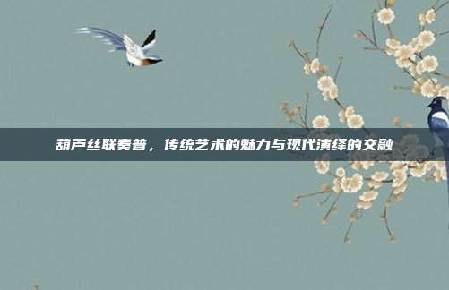 葫芦丝联奏普，传统艺术的魅力与现代演绎的交融