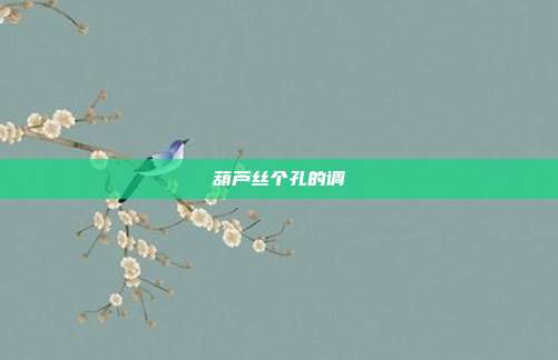 葫芦丝个孔的调