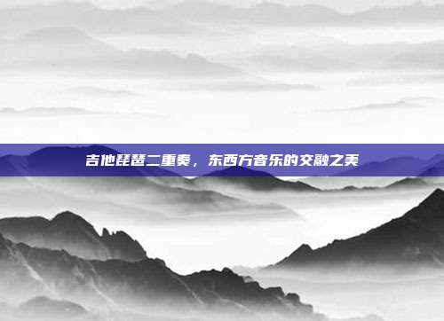 吉他琵琶二重奏，东西方音乐的交融之美