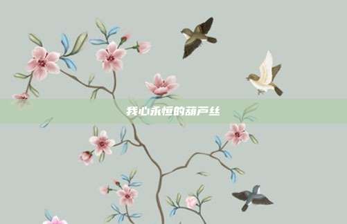 我心永恒的葫芦丝
