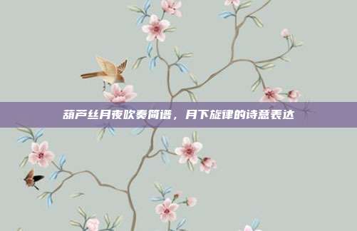 葫芦丝月夜吹奏简谱，月下旋律的诗意表达