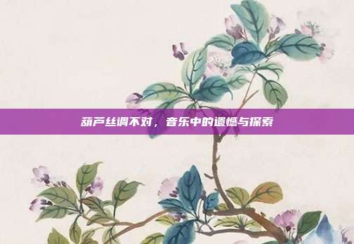 葫芦丝调不对，音乐中的遗憾与探索