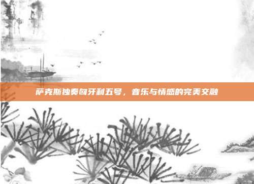 萨克斯独奏匈牙利五号，音乐与情感的完美交融