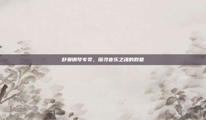 舒曼钢琴专卖，探寻音乐之魂的殿堂