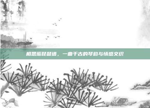 相思垢琵琶谱，一曲千古的琴韵与情感交织