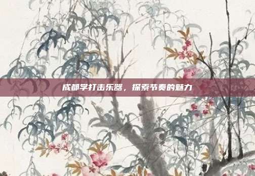 成都学打击乐器，探索节奏的魅力