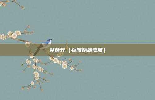 琵琶行(孙晓磊简谱版)