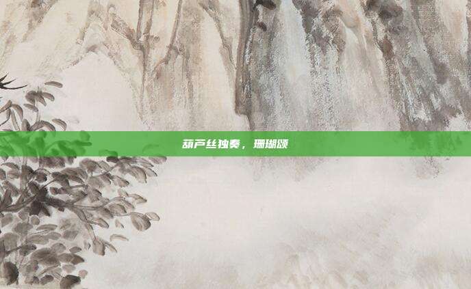 葫芦丝独奏，珊瑚颂