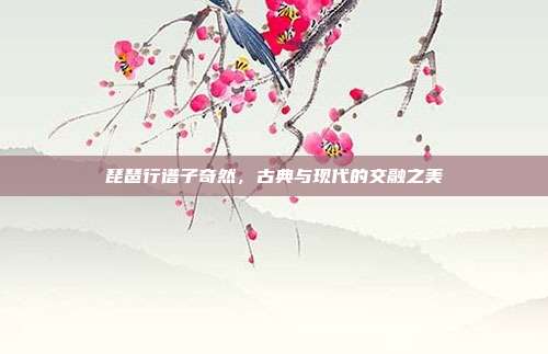 琵琶行谱子奇然，古典与现代的交融之美