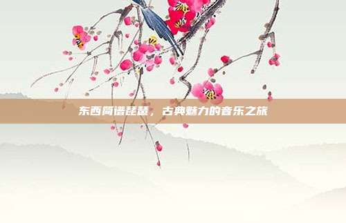 东西简谱琵琶，古典魅力的音乐之旅