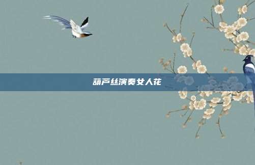 葫芦丝演奏女人花