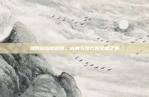 绿野仙踪琵琶谱,古典与现代的交融之美