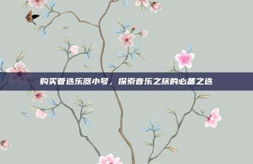 购买管选乐器小号,探索音乐之旅的必备之选