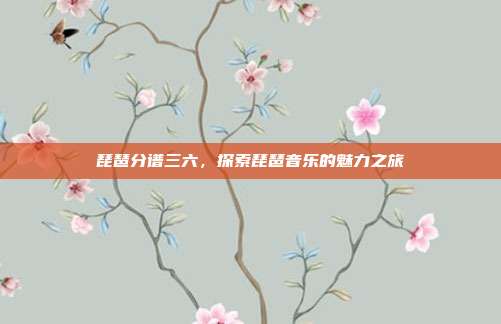琵琶分谱三六，探索琵琶音乐的魅力之旅