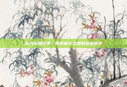 弘力乐器代理,探索音乐之路的卓越伙伴